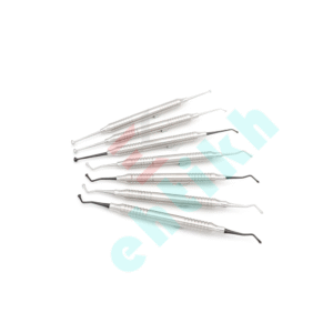 Dental Brushers