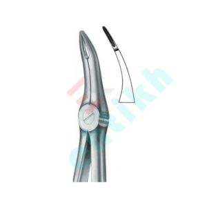 Extracting Forceps